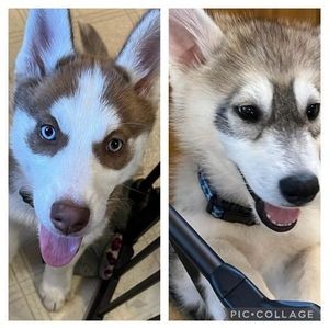 Meet your Posher, Lynn